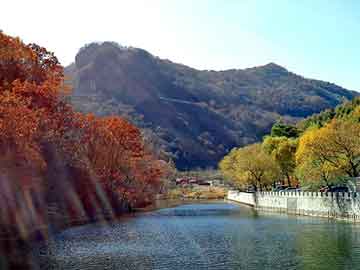 澳门期期准免费精准，山东省轻工工程学院